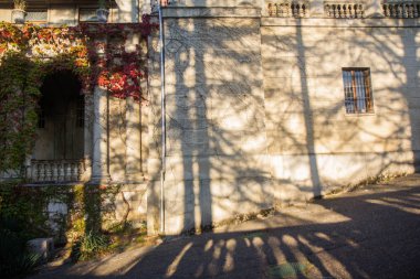 Lüks, Stone, Art, Travel, Park, Garden, Plant, Golden, Tree, Sea, Black, Old, Vintage, Tropical, Mimarlık, Building, City, Facade, Urban, Turizm, Avrupa, Rusya, Resort, History, Terk Edilmiş, Sanatoryum, Sochi, Ordzhonikidze