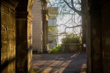Lüks, Stone, Art, Travel, Park, Garden, Plant, Golden, Tree, Sea, Black, Old, Vintage, Tropical, Mimarlık, Building, City, Facade, Urban, Turizm, Avrupa, Rusya, Resort, History, Terk Edilmiş, Sanatoryum, Sochi, Ordzhonikidze