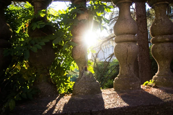 Lüks, Stone, Art, Travel, Park, Garden, Plant, Golden, Tree, Sea, Black, Old, Vintage, Tropical, Mimarlık, Building, City, Facade, Urban, Turizm, Avrupa, Rusya, Resort, History, Terk Edilmiş, Sanatoryum, Sochi, Ordzhonikidze