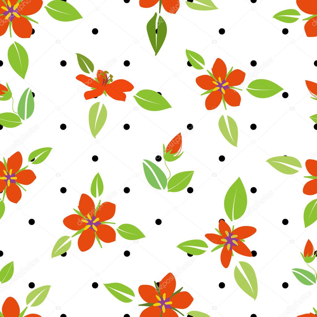 Orange scarlet pimpernel flowers and leaves, flat design, vector illustration, with black polka dots background, seamless pattern