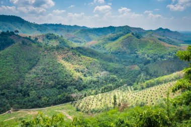Yağmur ormanları ile kaplı dağlar ile Manzara