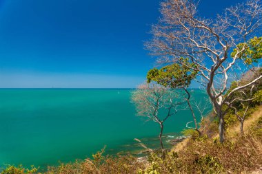 Kayalık kıyı ve bitki örtüsü ile deniz manzarası
