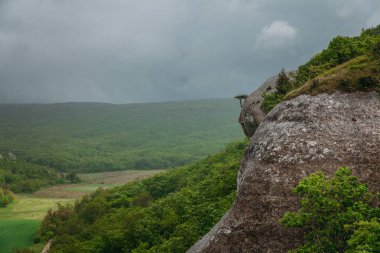 Dağ ormanı vadisi ve bulutlu gökyüzü ile manzara