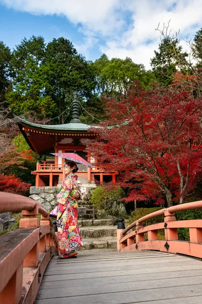 Jovem Mulher Estilo Moda Antiga Japão Quimono Caminha Ponte Madeira — Fotografia de Stock