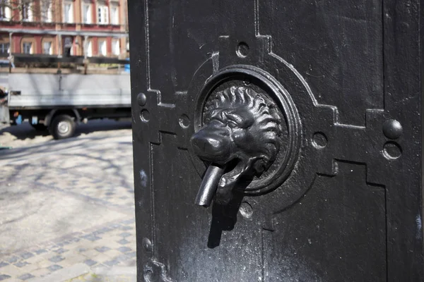 Lion de fer en forme d'appelant, détail d'une ancienne porte décorée, art ancien — Photo