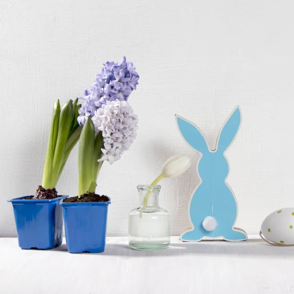 Pots Hyacinths White Background Easter Card Copy Space — Stock Photo, Image
