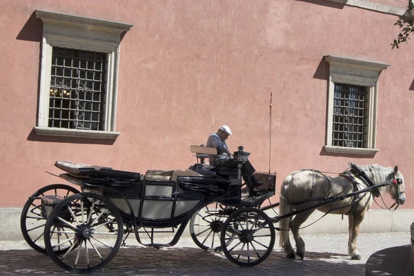 Sled com os cavalos sob as paredes do castelo real velho na cidade velha — Fotografia de Stock