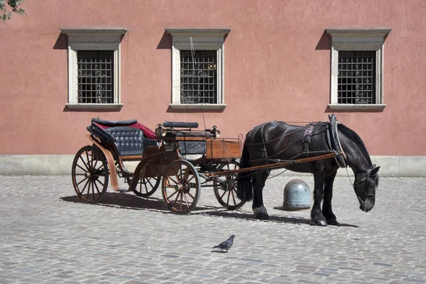 Sled com os cavalos sob as paredes do castelo real velho na cidade velha — Fotografia de Stock