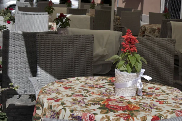 De rode geranium op een kleurrijke tafellaken in café — Stockfoto