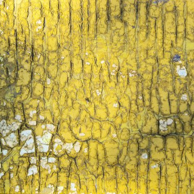 Peeling boya duvar ahşap yüzeyine