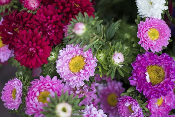 Bouquets Pink Asters Burgundy Dahlias Sale Entrance Store — Stock Photo, Image