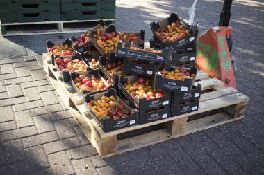 Londra, İngiltere - 14 Eylül 2018: domates Satılık bir kutu içinde.