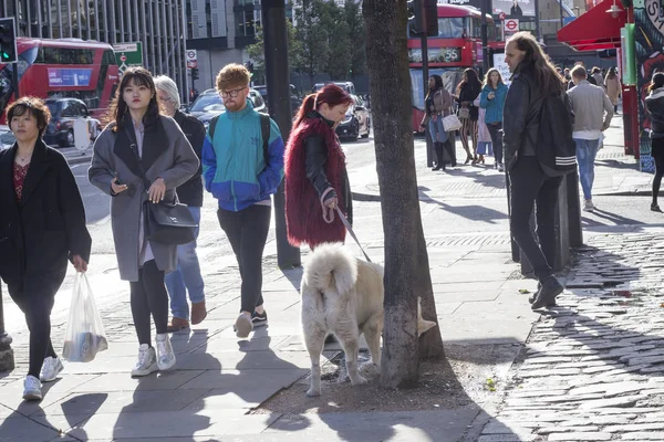 Λονδίνο Αγγλία Οκτωβρίου 2018 Γυναίκα Σκύλο Στο Δρόμο — Φωτογραφία Αρχείου