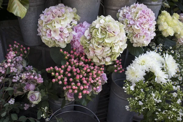 Het Scala Aan Kleurrijke Bloemen Verkocht Markt Londen — Stockfoto