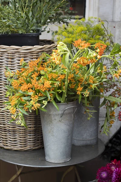 Die Farbenfrohe Vielfalt Der Blumen Die Auf Dem Markt London — Stockfoto