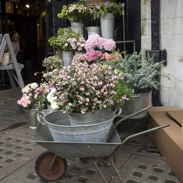 Variopinta Varietà Fiori Venduti Nel Mercato Londinese — Foto Stock