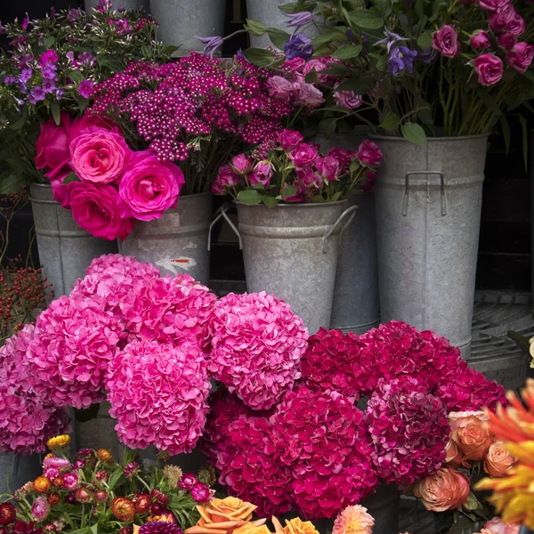 ロンドンの市場で販売されている様々 な色の花の — ストック写真