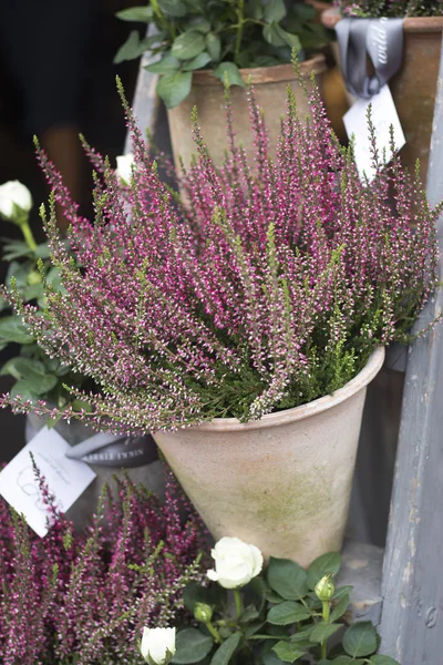 ロンドンの市場で販売されている様々 な色の花の — ストック写真