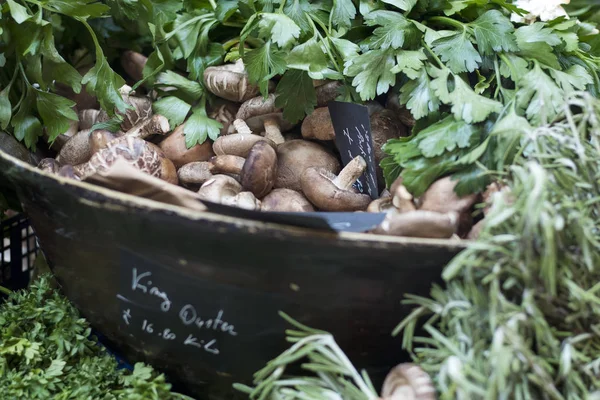 Grzyby Shitake Borough Market Londyn Wielka Brytania — Zdjęcie stockowe