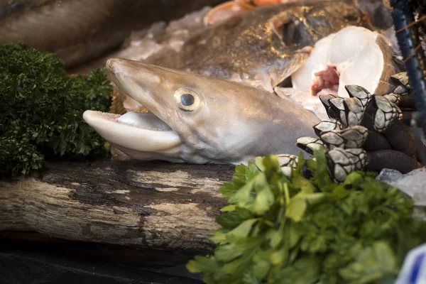 Fisch Zum Verkauf Bei Fish Mogners London Borough Market — Stockfoto
