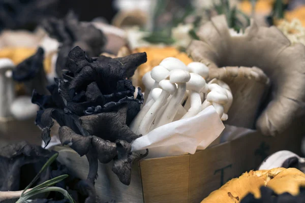 Ein Satz Pilze Birkenrindenkästen Auf Dem Stadtmarkt — Stockfoto