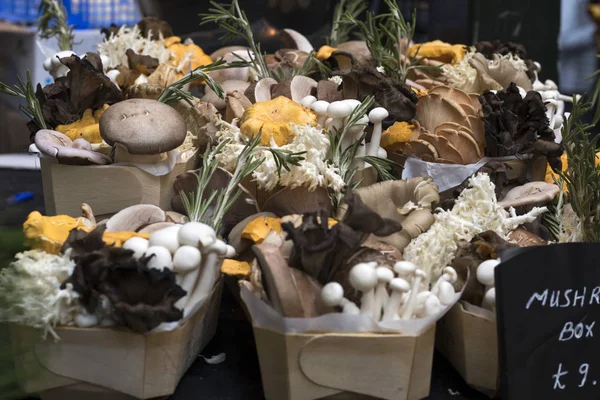 A set of mushrooms in birch bark boxes at Borough Market