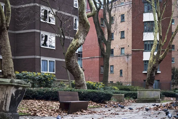 Londres Reino Unido Diciembre 2018 Patios Urbanos Con Plátanos Invierno —  Fotos de Stock