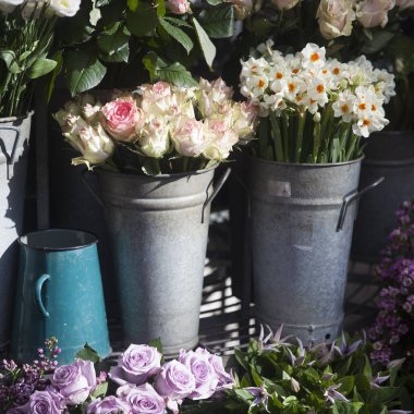 Beyaz gül çiçekçi dükkanı girişinde bir tabure üzerinde