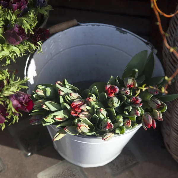 お店での販売のための花束で赤いチューリップ — ストック写真
