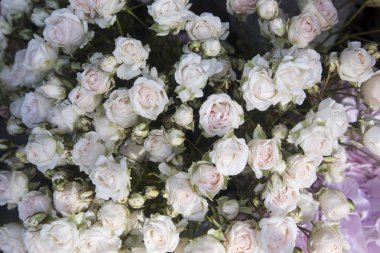 Küçük beyaz sprey gül buketi