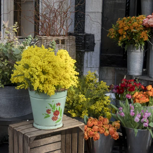 The Bouquets of mimosa branches in huge wicker baskets, tulips and roses for sale in a Liberty store in London — Stock Photo, Image