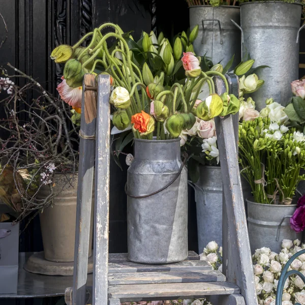 Reuze unblown papavers in een blikje op de ladder bij de ingang van de winkel — Stockfoto