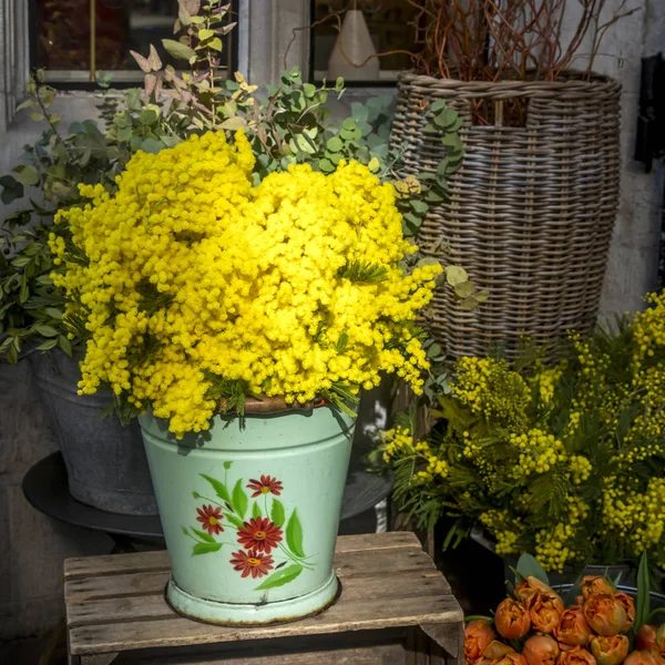 Bukiety z mimosa oddziałów w wielkie wiklinowe kosze, tulipany i róże na sprzedaż w sklepie wolność w Londynie — Zdjęcie stockowe