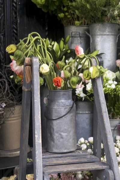 Amapolas gigantes sin soplar en una lata en la escalera a la entrada de la tienda —  Fotos de Stock