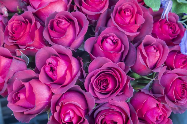 Rosa rosor i bukett som vacker bakgrund — Stockfoto