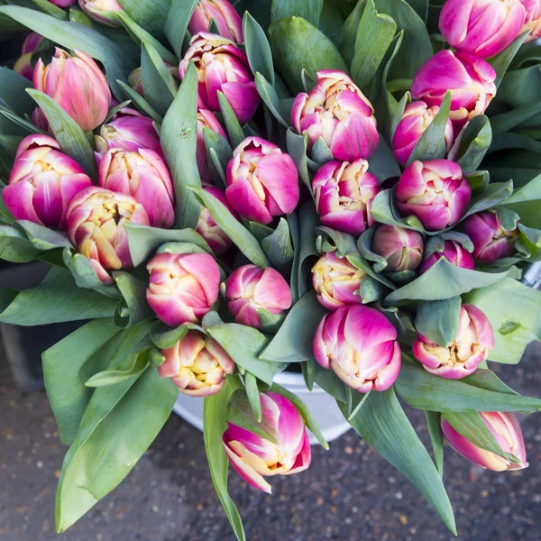 Tulipanes rosados en ramo como un hermoso fondo —  Fotos de Stock