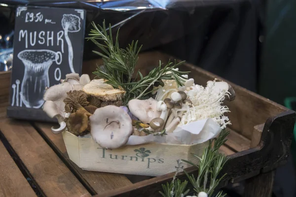 Selección de setas en caja de corteza en Borough Market —  Fotos de Stock