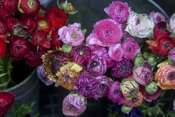 Il lupino rosa in vendita. fiori di ranuncolo persiano (ranuncolo) - organizzazione del matrimonio — Foto Stock