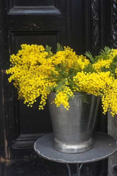 Boeketten van Mimosa te koop bij Liberty Store in Londen — Stockfoto