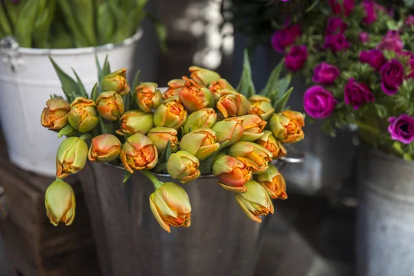 Orange tulips in bouquet as a beautiful background — Stock Photo, Image