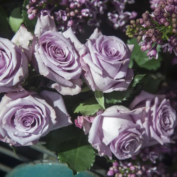 Buquê de rosas roxas em uma cesta para venda — Fotografia de Stock