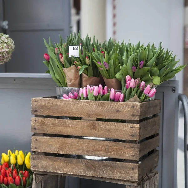 Цветные тюльпаны для продажи в деревянной коробке у входа в магазин — стоковое фото