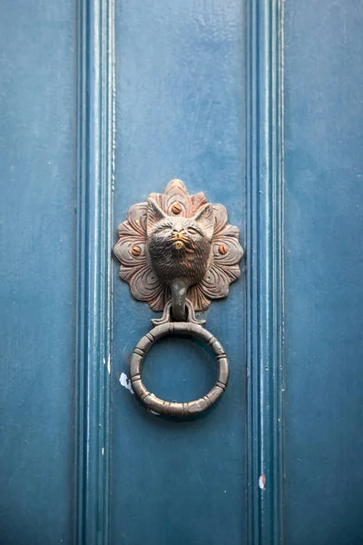 Tête de chat porte frappeur sur une porte bleue d'une maison . — Photo