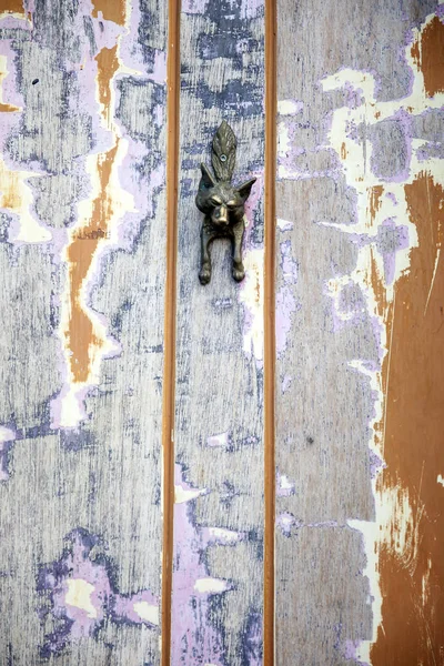 fox\'s head door knocker on a craft door of a house.