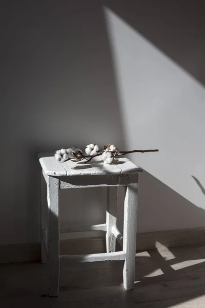 Gałąź z bawełny kwiaty leży w słonecznym miejscu na stołku na tle białej ścianie — Zdjęcie stockowe