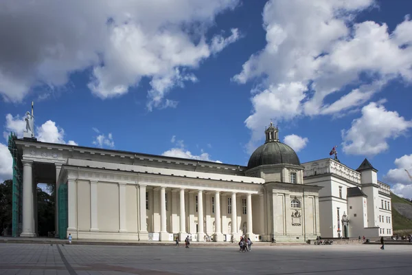 La Piazza della Cattedrale di Vilnius è la piazza principale del centro storico di Vilnius, proprio di fronte alla cattedrale neoclassica di Vilnius . — Foto Stock
