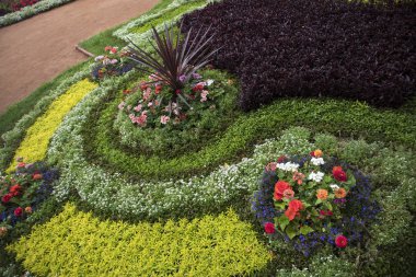 Geometrik şekiller şeklinde çok renkli çiçektar