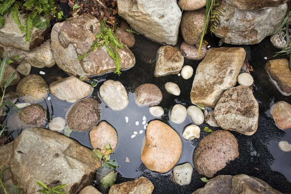 Stora stenblock i konstgjord damm, ormbunke i vatten — Stockfoto