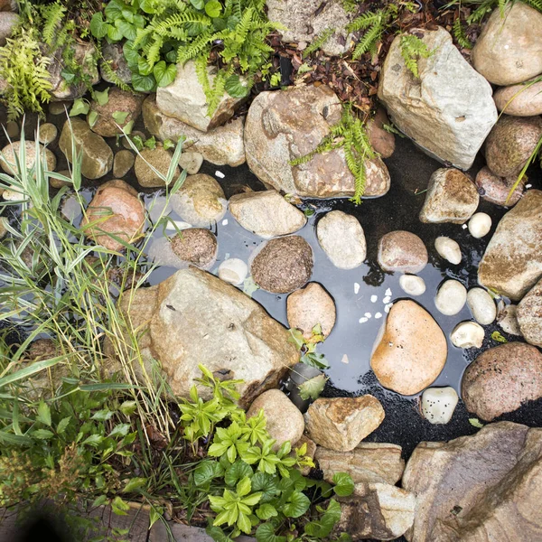 Stora stenblock i konstgjord damm, ormbunke i vatten — Stockfoto