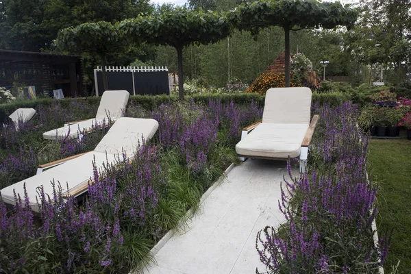 Les chaises longues blanches dans le jardin avec des chemins de gravier blanc sont entourées de sauge bleue . — Photo